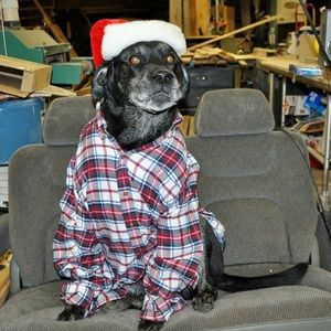 Meet your Posher, Jodi